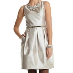 NWOT White House Black Market Gold Tulip Skirt Dress Size 16